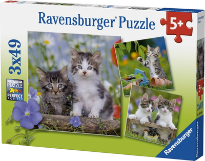 Пазл Ravensburger Кошенята 3 x 49 елементів 8046 (4005556080465)