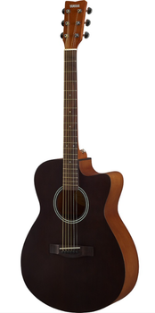 Акустична гітара YAMAHA FS400C (Smoky Black)