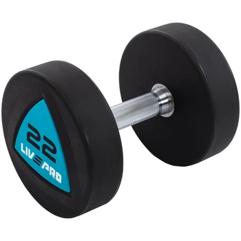 Гантели цельные LiveUp LP8002-22 22 кг 2 шт Черно-синий (LP8002-22)