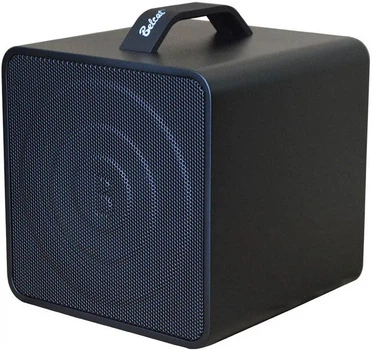 Комбоусилитель для акустических инструментов с микрофоном Belcat Busker Box-Acoustic 40