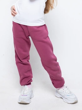 Детские теплые спортивные штаны-джоггеры для девочки Vidoli G-21154W_darkpink 110 см Розовые (4820161025522)