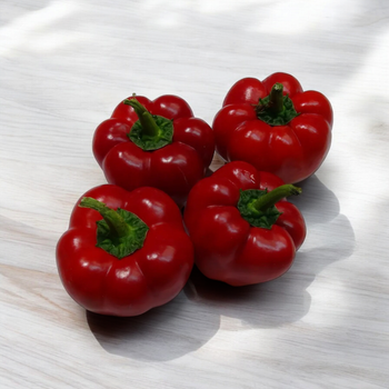 Насіння Перець гострий для фарширування Mustafa, Capsicum Annuum 5 шт/уп
