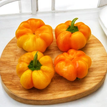 Семена Перец сладкий Papaccella Riccia Gialla, Capsicum annuum 5 шт/уп