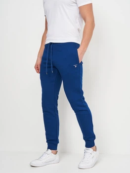 Спортивные штаны GANT 10825.3 S (44) Электрик