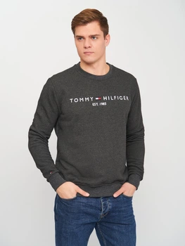 Світшот чоловічий Tommy Hilfiger 10843.3 S Темно-сірий