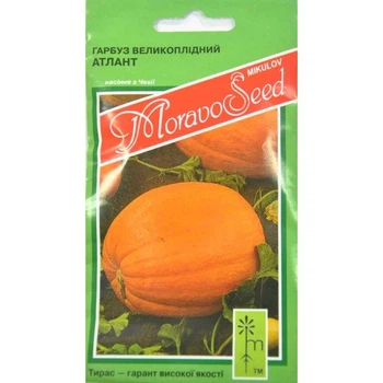 Семена Тыква крупноплодная Голиаш 5 г Тирас Moravo Seed