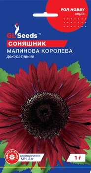 Насіння Соняшник декоративний Малинова королева 1 г GL Seeds