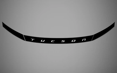 Молдинг, мухобойка, орнамент, лого на капот HYUNDAI TUCSON 22-23, HYTU22DEL
