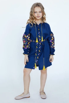 Дитяча сукня-вишиванка для дівчинки Яскраві Півники Folk Moda 128 Темно-синій (qskrav-pvniki-271811175)