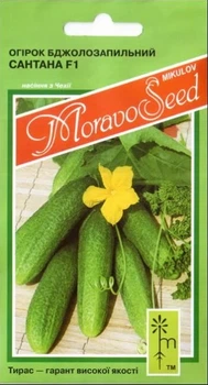 Семена Огурец Сантана F1 1,2 г Тирас Moravo Seed
