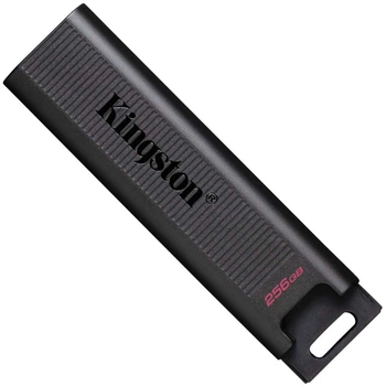 Флеш-накопитель Kingston 256Gb USB 3.2 Gen 2 DT Max Type-A (DTMAXA/256GB)