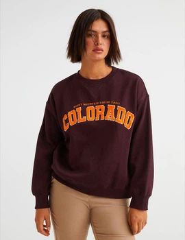 Жіночий світшот H&M 720402-4 XL(175/116) бордовий (2000005014444)