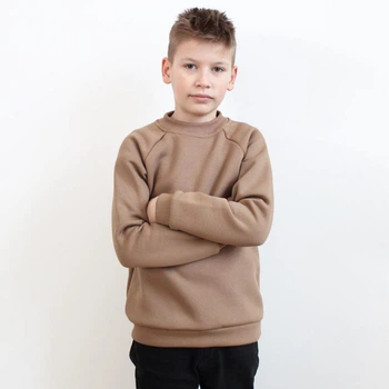 Теплый детский свитшот из тринитки на флисе 86-92 см коричневый FD28-Kapuchino-26 Ladan