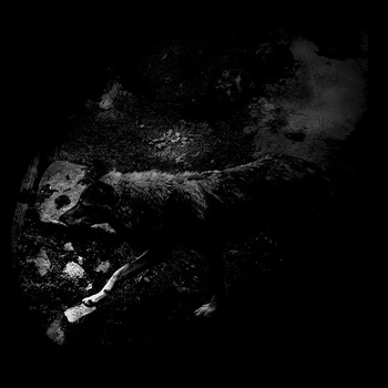 October Falls - The Womb Of Primordial Nature CD 1706210437