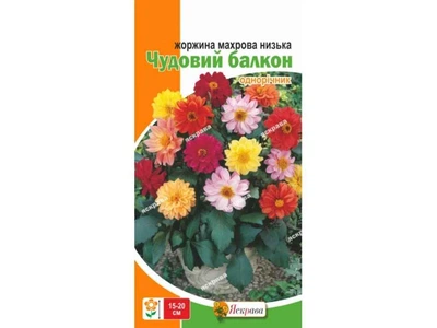 Жоржина ЯСКРАВА махрові Чудовий балкон (20 пачок) 0,3г
