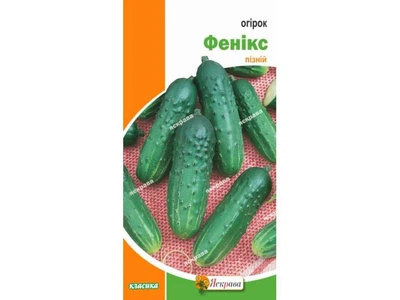 Огірок ЯСКРАВА Фенікс (20 пачок) 1г