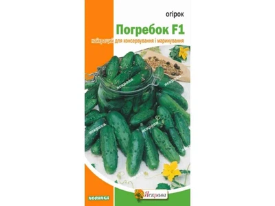 Огірок ЯСКРАВА Погребок F1 (20 пачок) 0,5г