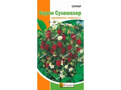 Суниця ЯСКРАВА Барон Сулемахер (20 пачок) 0,1г