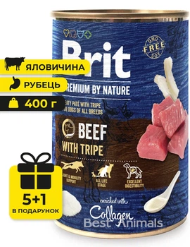 Вологий корм з яловичиною та рубцем Brit Premium Beef with Tripe консерва для собак 400 г 5+1 шт (8595602561827)