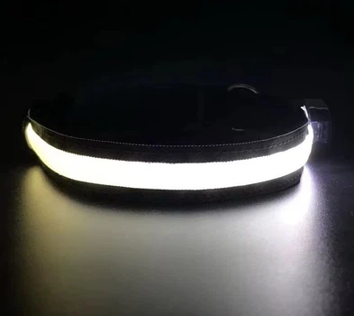 Нашийник для собак з підсвічуванням з USB зарядкою 50 см Білий