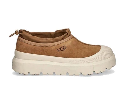 Жіночі Уггі UGG Tasman Weather Hybrid Chestnut 1144096-CWTC 39р. Каштан