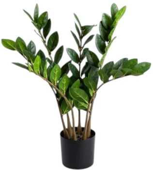 Sztuczna roślina Homla Botanic zamiokulkas 45 cm (5906496730658)