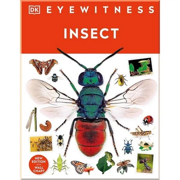 Insect Dorling Kindersley