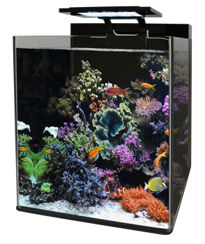 Морський акваріумний комплект BM REEF 90 AQUARIUM (N4055350)