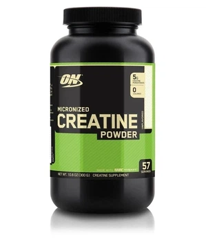 OPTIMUM NUTRITION Creatine Powder 300 g