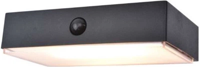 Lampa uliczna ścienna LUTEC Connect 6939501330