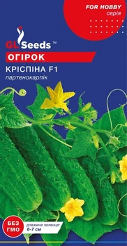Семена Огурца GL Seeds Криспина F1 Среднеранний 10сем