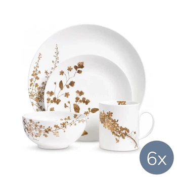 Столовий сервіз Wedgwood Vera Wang Jardin 24 предмети 6 персон (40033716 + 40033715)