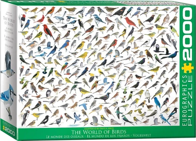 Пазл Eurographics David Sibley The world of birds 2000 елементів 8220-0821 (628136208215)