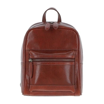 Рюкзак туристический Ashwood T87 Chestnut