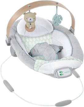 Leżaczek Ingenuity Cozy Spot (13104) (074451131040)