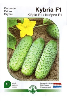 Насіння огірок Profi Seeds Кібрія F1 10нас