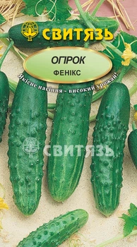 Насіння огiрок Свитязь Фенiкс 10г