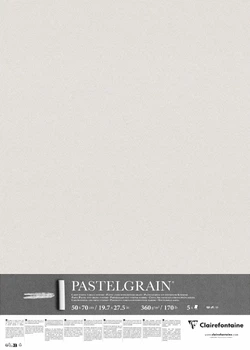Аркуш Clairefontaine PastelGrain Light Grey (Світло-сірий), 50х70 см