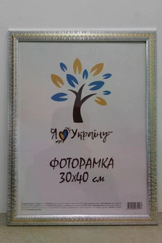 Фоторамка Алан А3 30х40 см срібний із золотою змійкою багет 2416 Скло