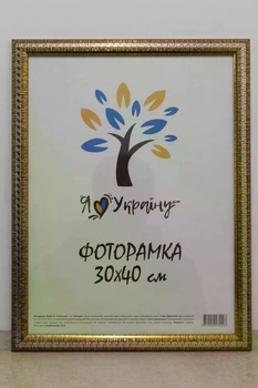 Фоторамка Алан А3 30х40 см золота зі срібною змійкою багет 2416 Скло