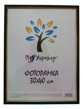 Фоторамка Алан 30х40 см коричнева із золотою вставкою, багет 1511 Скло