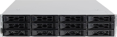 Сервер Bluechip SERVERline R52316s (4250749710067)