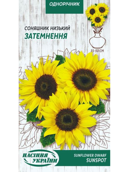 Соняшник Низький "Затемнення" ТМ "Насіння України" 1 р.