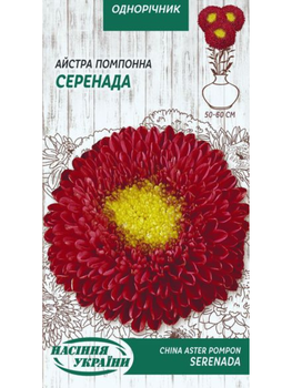 Астра помпонна "Серенада" ТМ "Насіння України" 0,25 р.