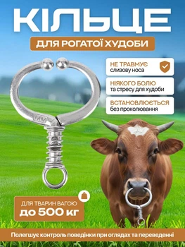 Оборудование для крупного рогатого скота, кольцо в нос быку или корове размером 13 х 9 см
