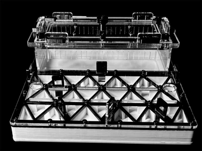 Черная проффесиональная муравьиная ферма 200×200×80 мм, Автоувлажнение гипс Г23, автополив, 5 секций, двойная крышка, защита от побегов. Для Pheidole, Pachycondyla, Odontoponera, Carebara.