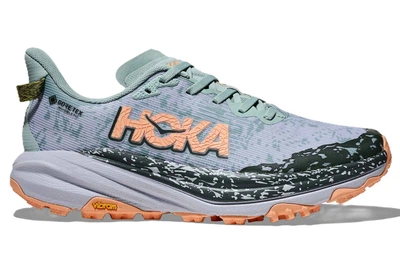Кроссовки Hoka W Speedgoat 6 GTX 2024 37.5 Sky Blue (1092-198605154355)