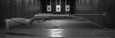 Пневматична гвинтівка GAMO Black Bear IGT (386 м/с)