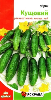 Семена огурца Кустовой пчелоопыляемый Яскрава 1г