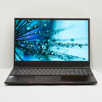 Ноутбук 15,6" Medion (Lenovo Group) Erzaer X15801 Intel Core i5-9300H RAM 16 ГБ SSD 512 ГБ + HDD 1 ТБ Nvidia GeForce GTX 1660 Ti Win10 (4784) - Уцінка